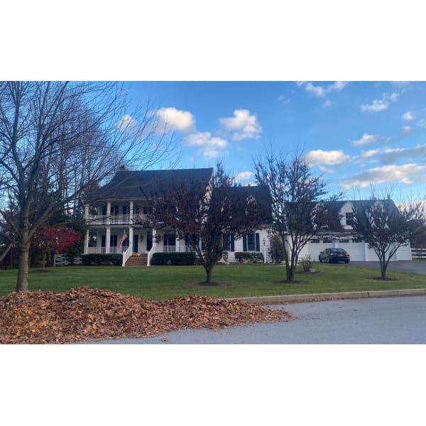 Leaf Removal - Lawn Only